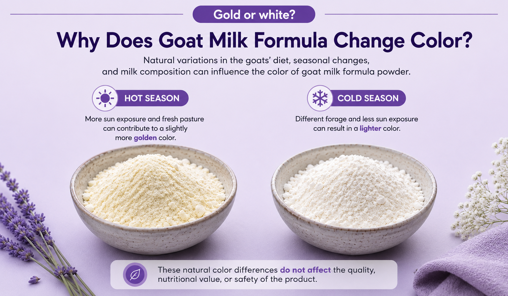 Two bowls of goat milk formula powder comparing golden hot-season powder with lighter cold-season powder, illustrating natural seasonal color variation.