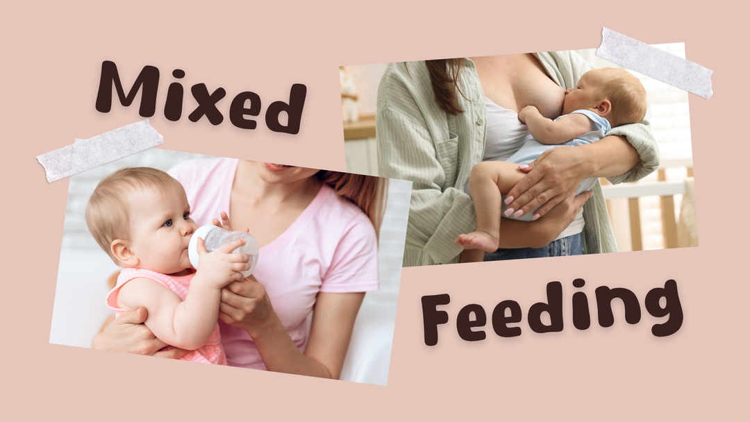 Mixed Feeding Guide
