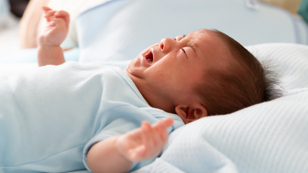 How Our European Organic Formula Helps with Colic and Fussiness: Features that Soothe and Comfort