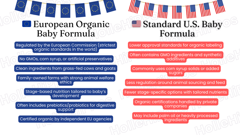 Why Parents Love European Organic Baby Formula