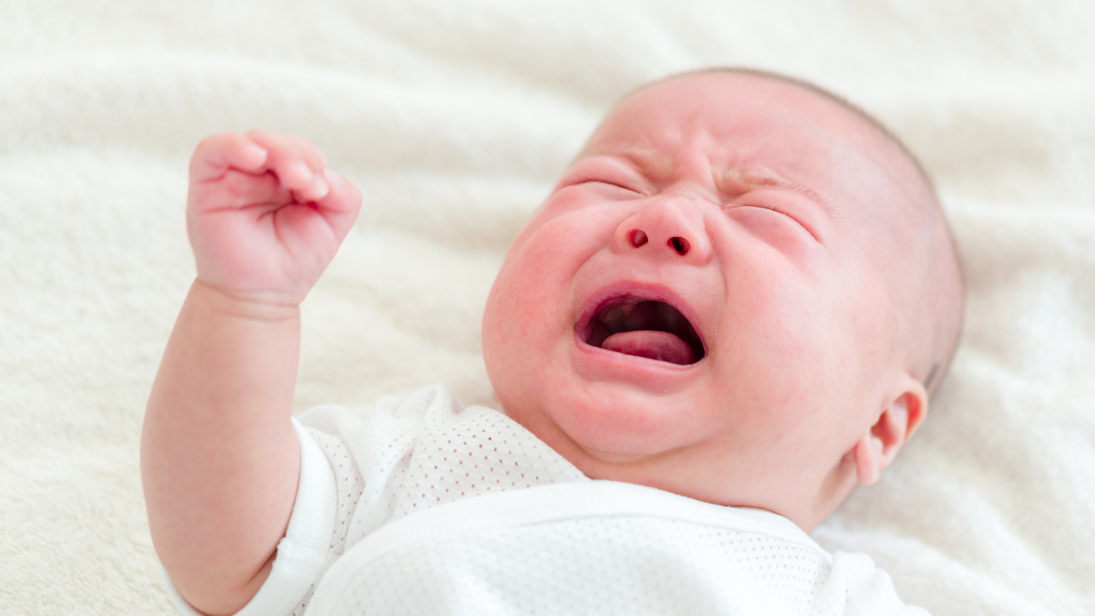 What’s the Best Baby Formula for Constipation? A HolleHiPPos Guide for Relieved Tummies &amp; Happier Babies