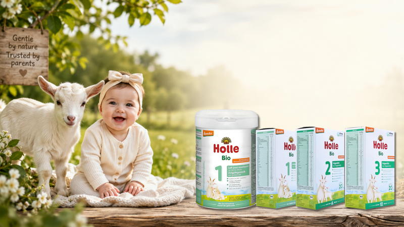 Holle Dutch vs German: Which Organic Goat Milk Formula Is Best?