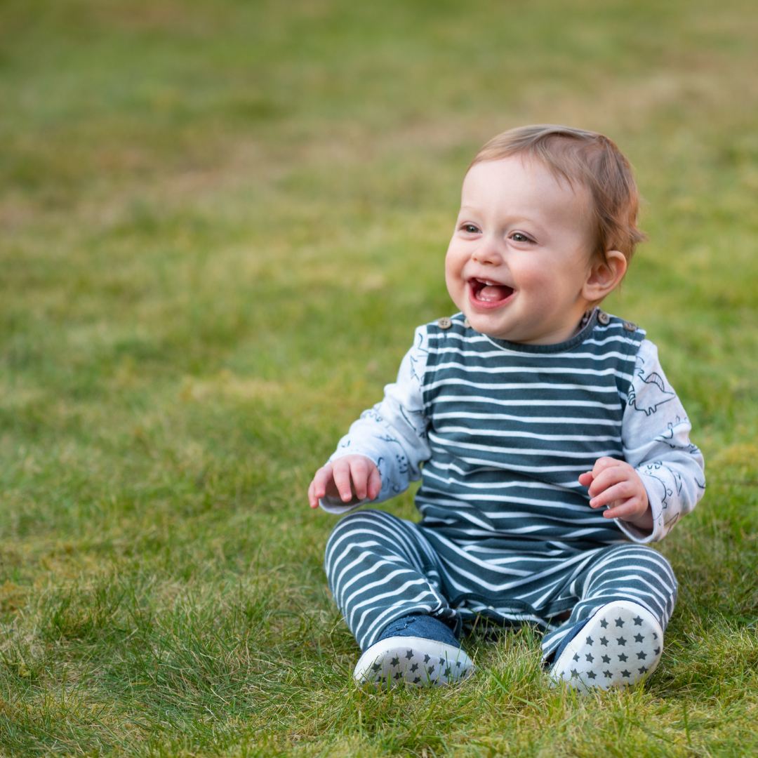 Stage 3 (10-12 months)