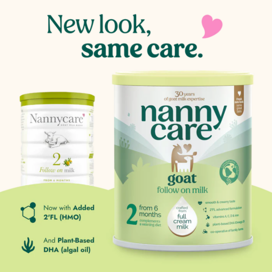 Nannycare Stage 2